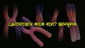 ক্রোমোজোম কাকে বলে