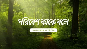 পরিবেশ কাকে বলে কত প্রকার ও কি কি