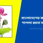বাংলাদেশের জাতীয় ফুল শাপলা রচনা সহজ ভাবে