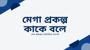 মেগা প্রকল্প কাকে বলে