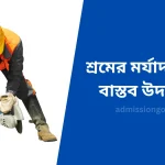 শ্রমের মর্যাদা রচনা বাস্তব উদাহরণ