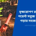 বৃক্ষরোপণ রচনা ২০ পয়েন্ট সবুজ পরিবেশ গড়ার সহজ উপায়